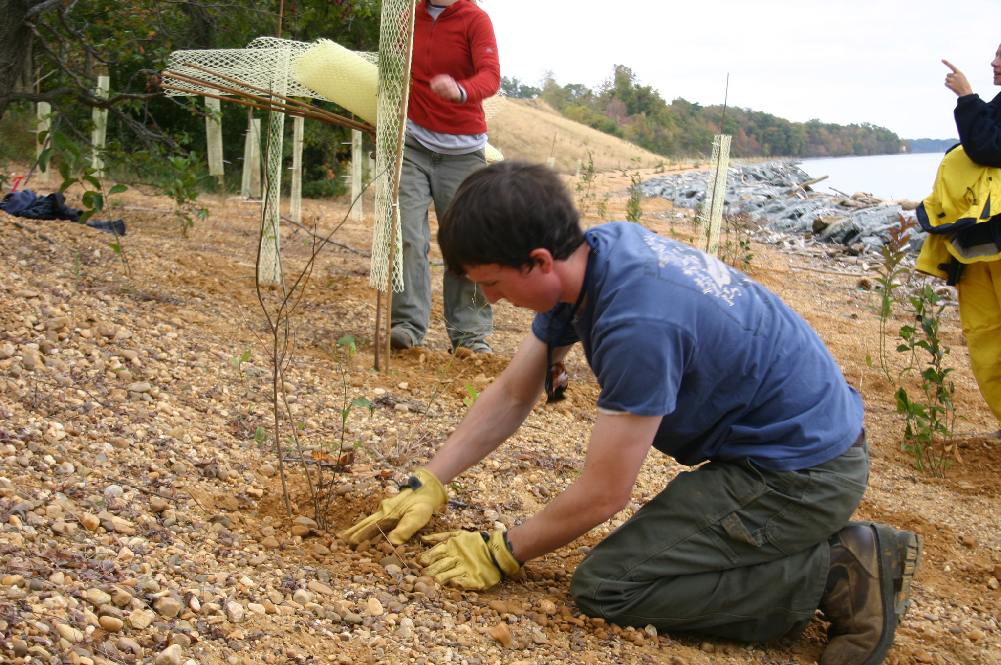 Revegetation services