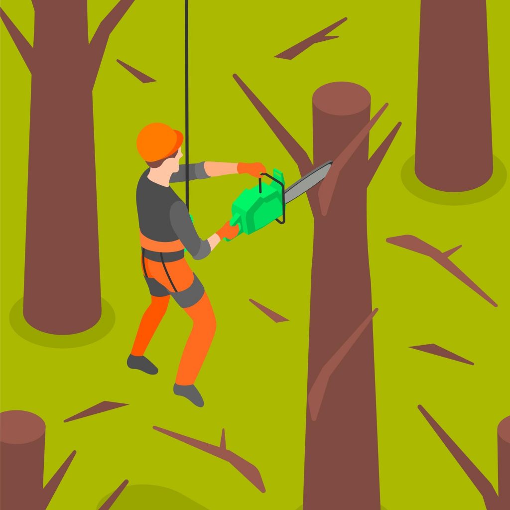 Tree Pruning