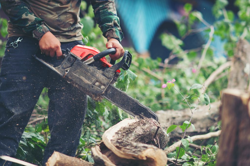 Tree Pruning Brisbane